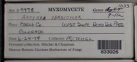 Image Associated With the Occurence